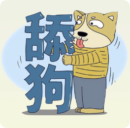 舔狗日志